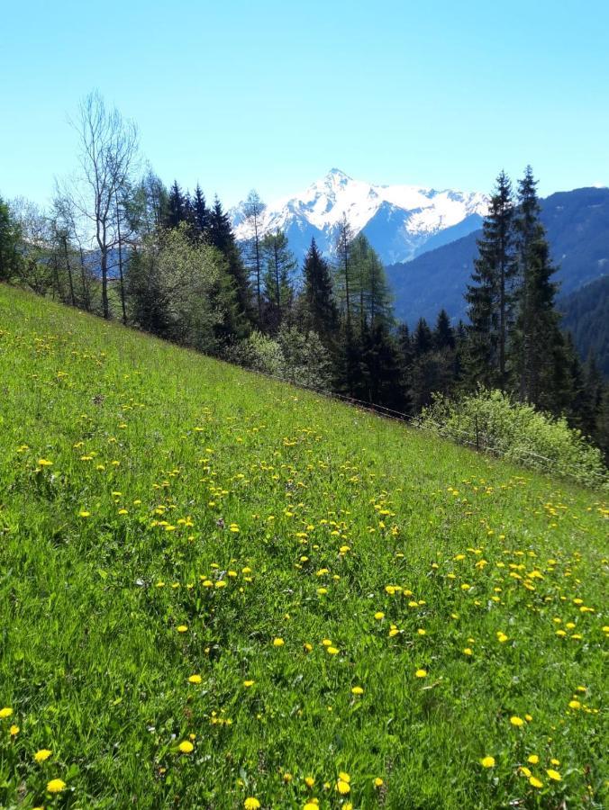 Ferienwohnung Schiestl Zell am Ziller Εξωτερικό φωτογραφία